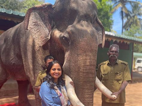 kaleem elephant|Kumki (elephant) .